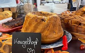 Hotel Primo Colmar Centre